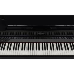 Roland GP-6 PE Black