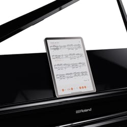 Roland GP-6 PE Black