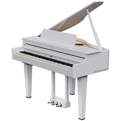 Roland GP-6 PW White