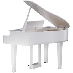 Roland GP-6 PW White