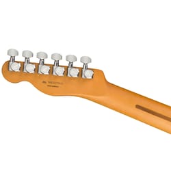 Fender Player Plus Nashville Telecaster PF Sienna Sunburst