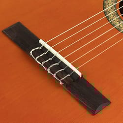 Salvador Cortez Luna CCE