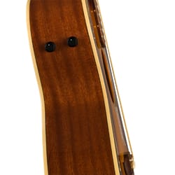 Fender Newporter Player WN Sunburst