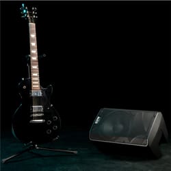 Alto Professional TX310