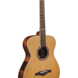 Eko Evo 350E Baritone
