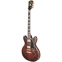 D'angelico Deluxe Mini DC Satin Brown Burst