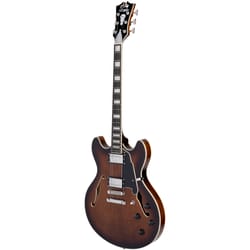 D'angelico Premier DC Brown Burst
