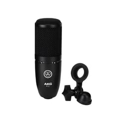 AKG P120