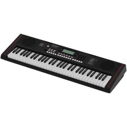 Roland E-X10
