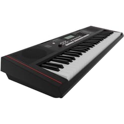 Roland E-X10