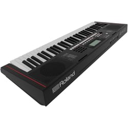 Roland E-X10