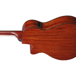 Ibanez AEG50 Black Aurora Burst Matte