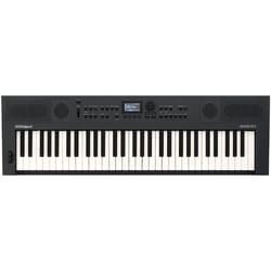 Roland GO:KEYS 5 Graphite