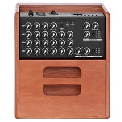 Acus One ForStrings 5 Ferdi Wood