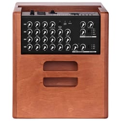 Acus One ForStrings 8 Ferdi Wood