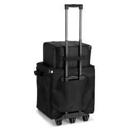 LD System DAVE 10 G4X BAG SET