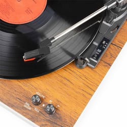 Fenton RP165 BT Wood