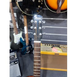 Ibanez Aam300Ce-Nt Usata