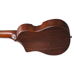 Ibanez AUP10NOLB Open Pore Light Brown Sunburst