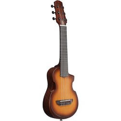 Ibanez AUP10NOLB Open Pore Light Brown Sunburst