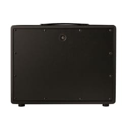 PRS Mark Tremonti Cabinet