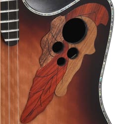 Ovation Celebrity Elite Plus CE44P-FLE-G Sunburst