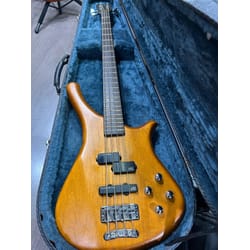 Warwick Fortress one