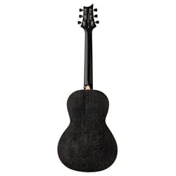 PRS SE P20E Doghair (Gloss) 2025