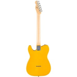 Fender Standard Telecaster MN Butterscotch Blonde