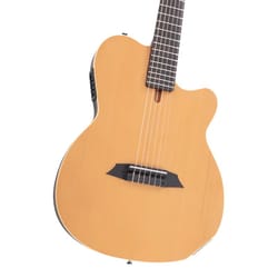 Sire Larry Carlton G5N Natural Satin