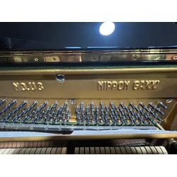 Pianoforte Acustico...