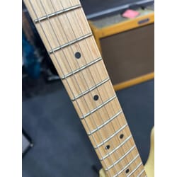 Fender Telecaster Performer Hum VW B-Stock