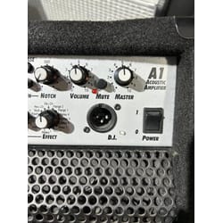 Laney A1 Acoustic Amplifier usato