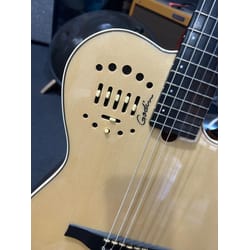Godin Multiac Nylon Deluxe Usata
