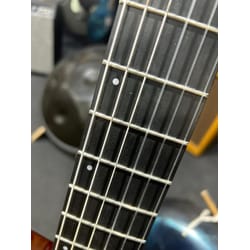 Godin Multiac Nylon Deluxe Usata
