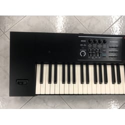 Roland Juno-DS88 Usata