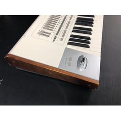 Korg Pa2x Pro Usata