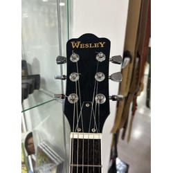 Wesley sim. 335 Usata