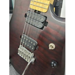 Sterling Petrucci Usato