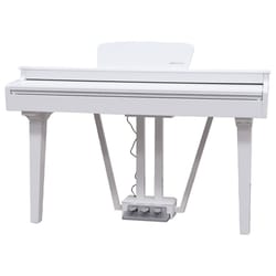 Echord GP10WH White