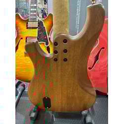 Schecter Custom Shop Stargazer Bass