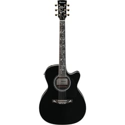 Ibanez AC391RCE-BKH Black...