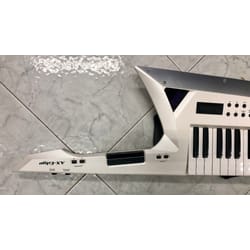 AX Edge Roland White Usato