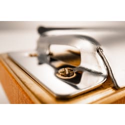 HOHNER Marine Band 1896 G Major New