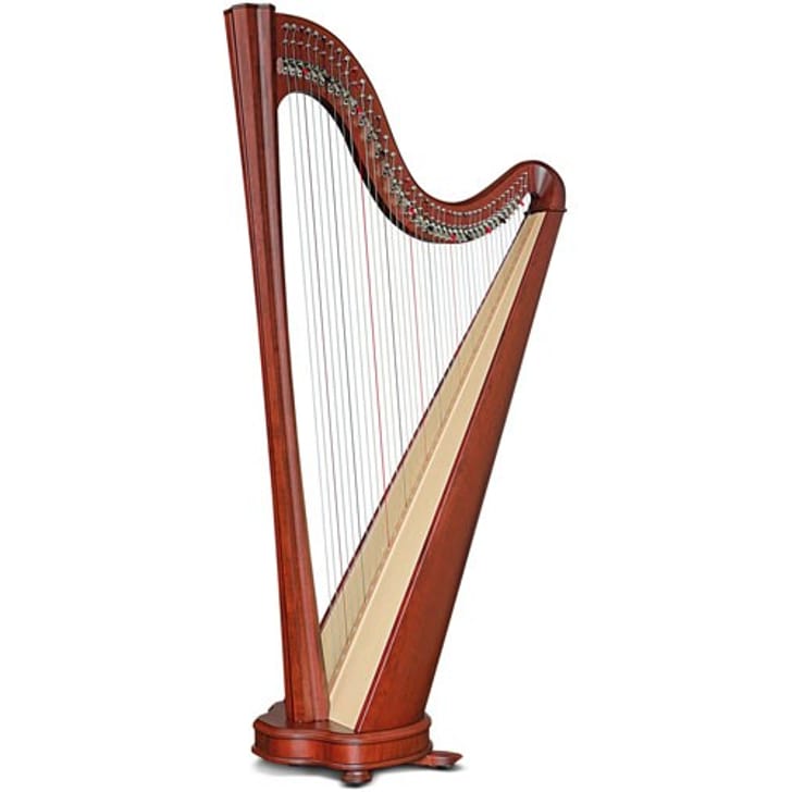 Salvi Titan Ebano Silkgut