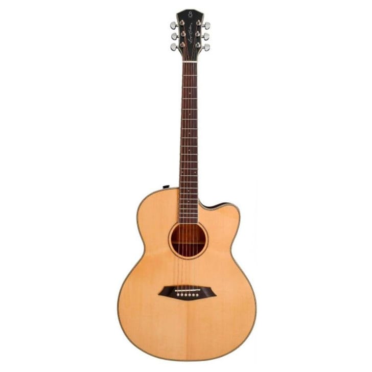 Larry Carlton A3-G Cutaway Natural