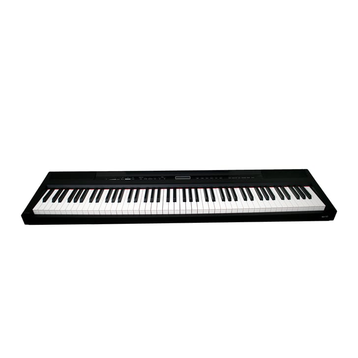Echord SP10B Black