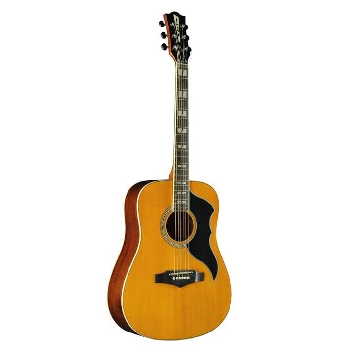 Eko Ranger VI VR EQ Natural Top 