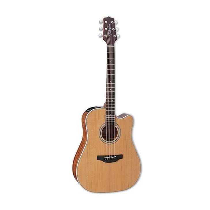 Takamine GD20CE NS 