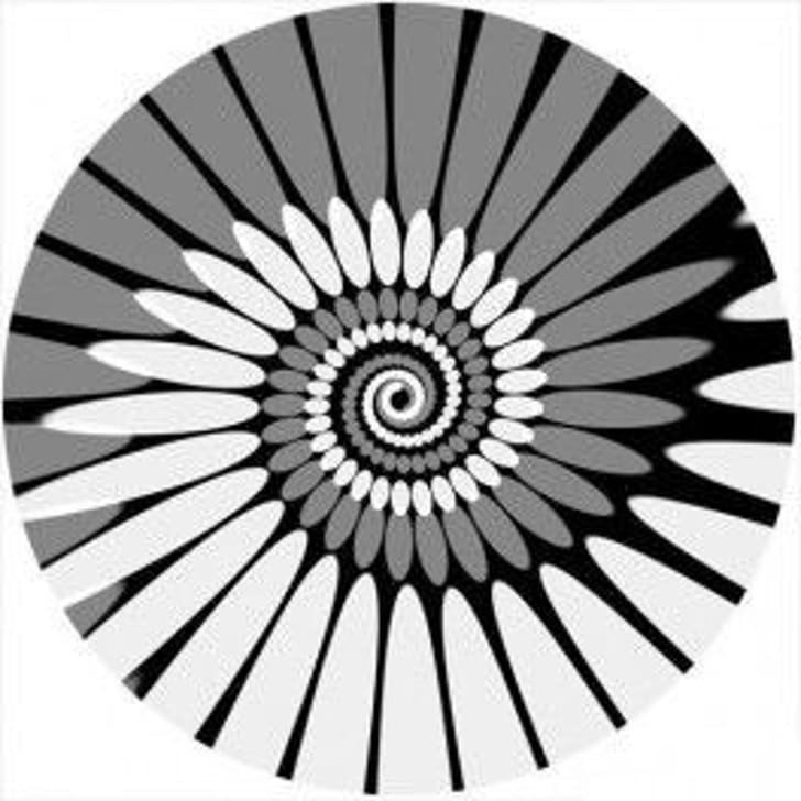 Zomo SLIPMAT PAINT WHITE